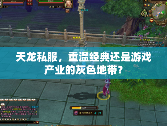 天龙私服，重温经典还是游戏产业的灰色地带？