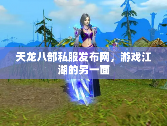 天龙八部私服发布网，游戏江湖的另一面