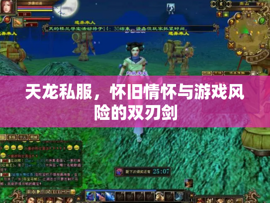天龙私服，怀旧情怀与游戏风险的双刃剑