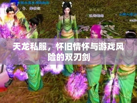 天龙私服，怀旧情怀与游戏风险的双刃剑