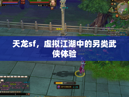 天龙sf，虚拟江湖中的另类武侠体验