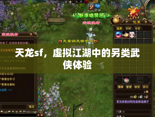 天龙sf，虚拟江湖中的另类武侠体验