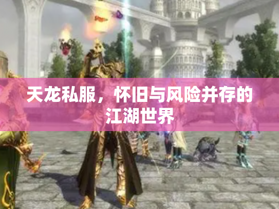天龙私服，怀旧与风险并存的江湖世界