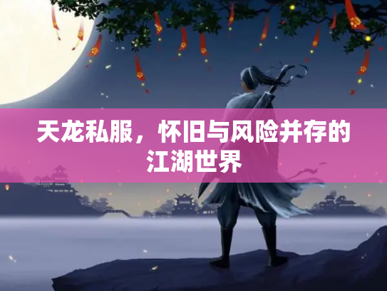 天龙私服，怀旧与风险并存的江湖世界