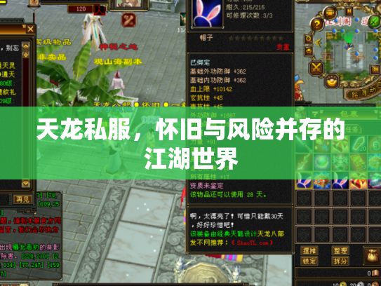 天龙私服，怀旧与风险并存的江湖世界