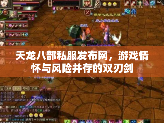 天龙八部私服发布网，游戏情怀与风险并存的双刃剑