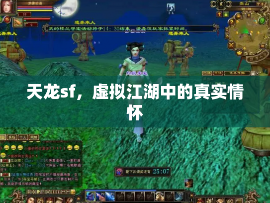 天龙sf，虚拟江湖中的真实情怀