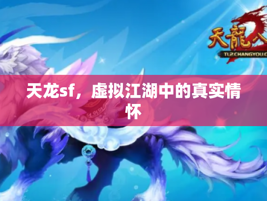 天龙sf，虚拟江湖中的真实情怀