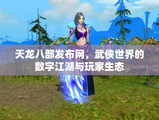 天龙八部发布网，武侠世界的数字江湖与玩家生态