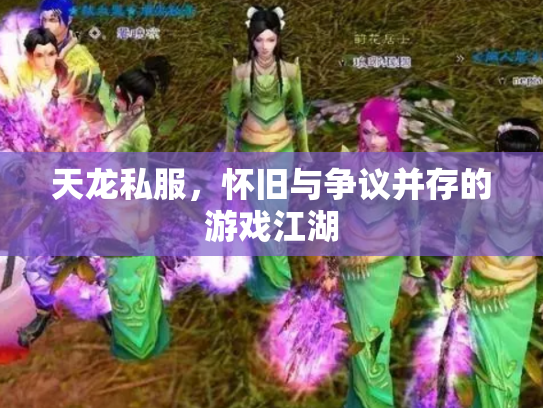 天龙私服，怀旧与争议并存的游戏江湖