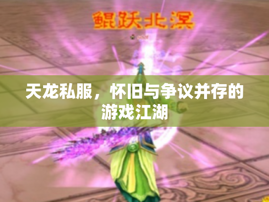 天龙私服，怀旧与争议并存的游戏江湖
