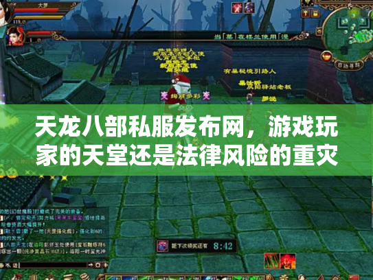 天龙八部私服发布网，游戏玩家的天堂还是法律风险的重灾区？