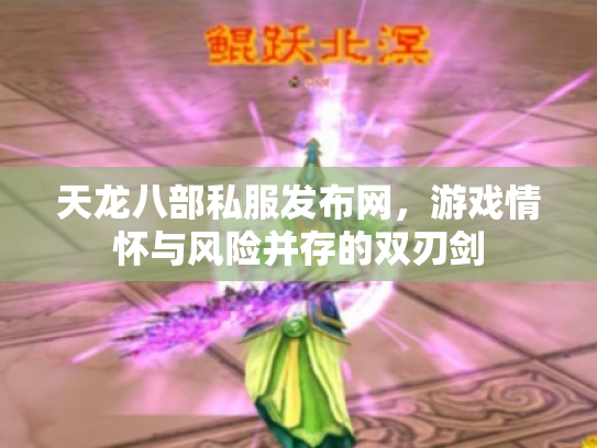 天龙八部私服发布网，游戏情怀与风险并存的双刃剑