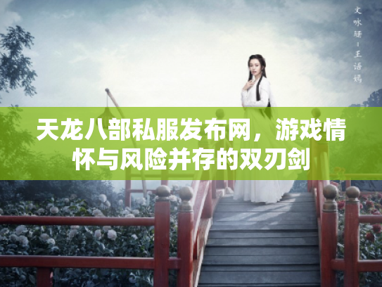天龙八部私服发布网，游戏情怀与风险并存的双刃剑