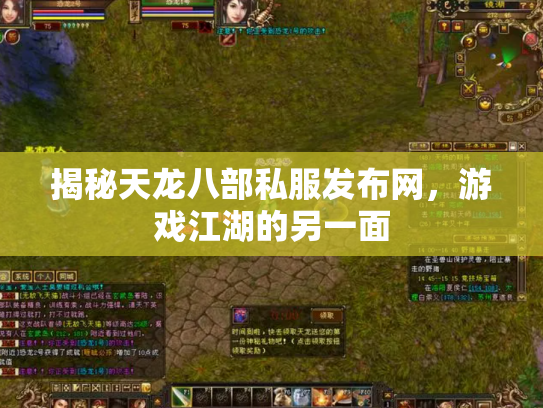 揭秘天龙八部私服发布网，游戏江湖的另一面