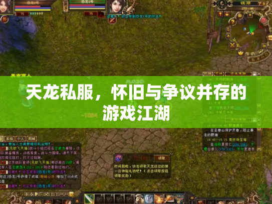 天龙私服，怀旧与争议并存的游戏江湖