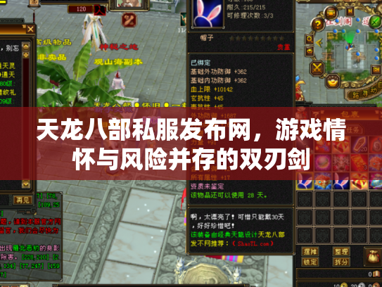 天龙八部私服发布网，游戏情怀与风险并存的双刃剑