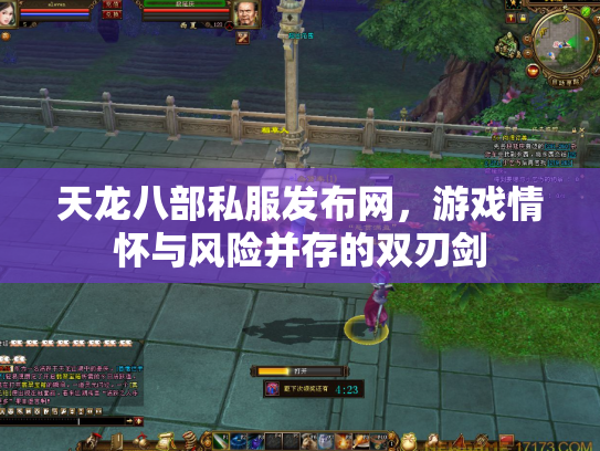 天龙八部私服发布网，游戏情怀与风险并存的双刃剑