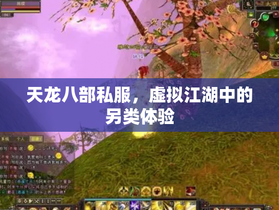 天龙八部私服，虚拟江湖中的另类体验