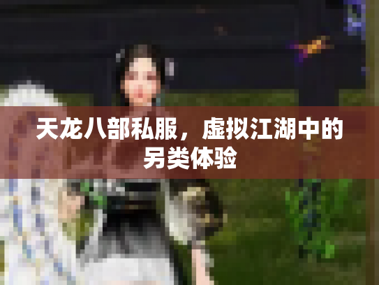 天龙八部私服，虚拟江湖中的另类体验