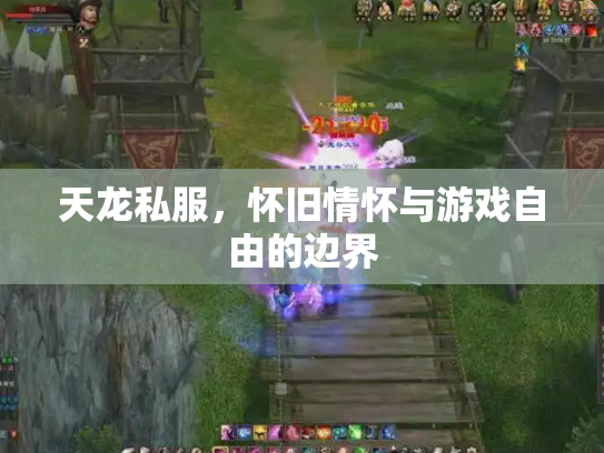 天龙私服，怀旧情怀与游戏自由的边界