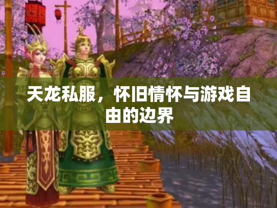 天龙私服，怀旧情怀与游戏自由的边界