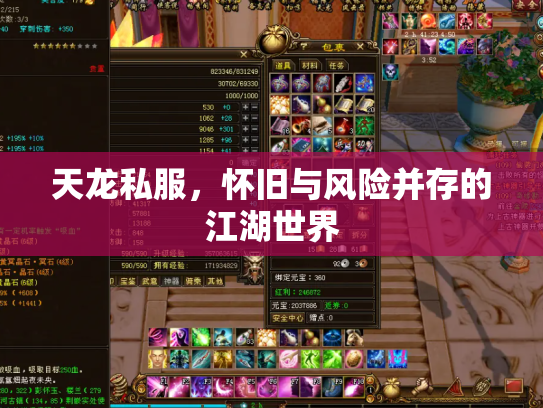 天龙私服，怀旧与风险并存的江湖世界