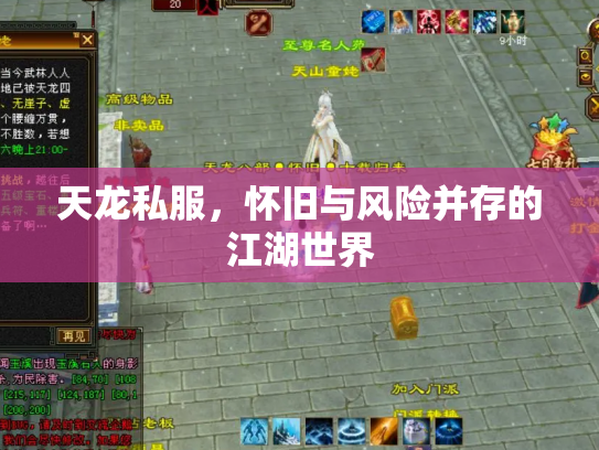 天龙私服，怀旧与风险并存的江湖世界