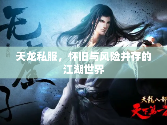 天龙私服，怀旧与风险并存的江湖世界