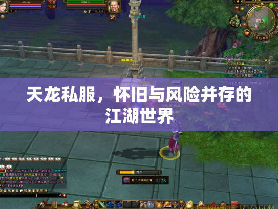天龙私服，怀旧与风险并存的江湖世界