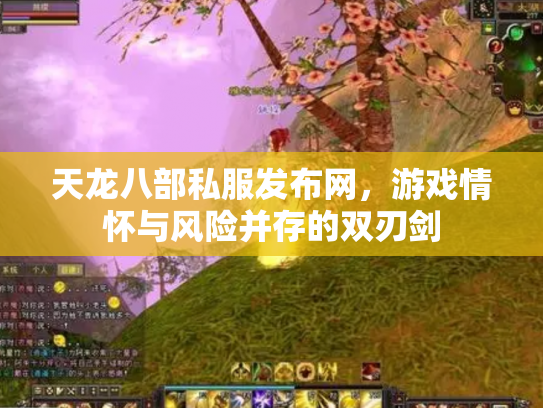 天龙八部私服发布网，游戏情怀与风险并存的双刃剑