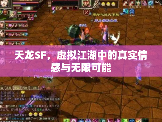 天龙SF，虚拟江湖中的真实情感与无限可能