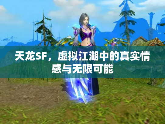 天龙SF，虚拟江湖中的真实情感与无限可能