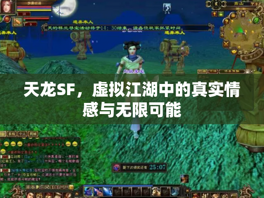 天龙SF，虚拟江湖中的真实情感与无限可能