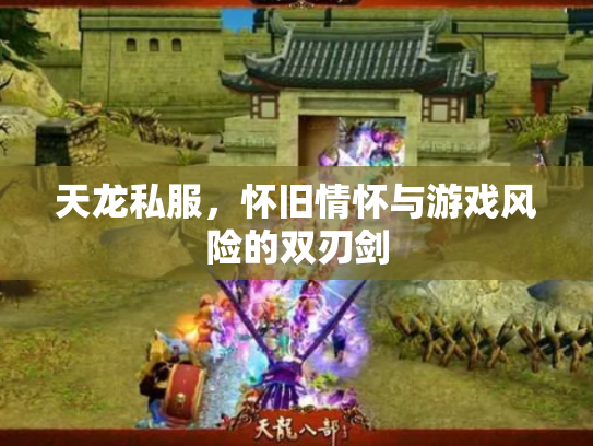 天龙私服，怀旧情怀与游戏风险的双刃剑