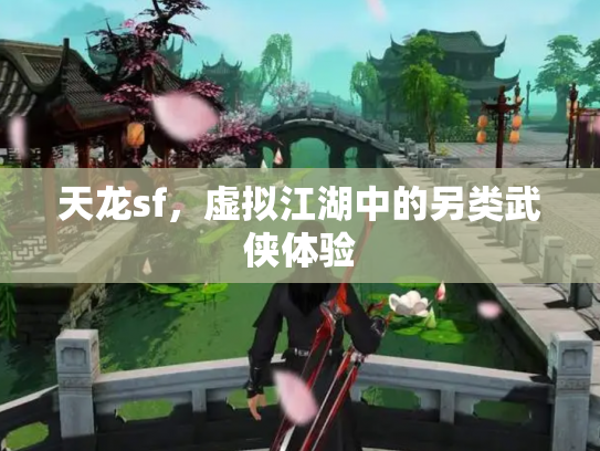 天龙sf，虚拟江湖中的另类武侠体验