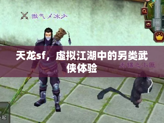 天龙sf，虚拟江湖中的另类武侠体验
