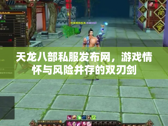 天龙八部私服发布网，游戏情怀与风险并存的双刃剑