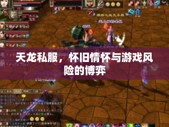 天龙私服，怀旧情怀与游戏风险的博弈