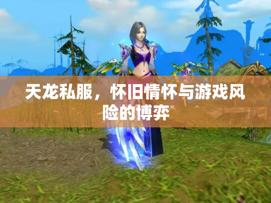 天龙私服，怀旧情怀与游戏风险的博弈