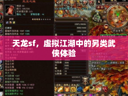 天龙sf，虚拟江湖中的另类武侠体验