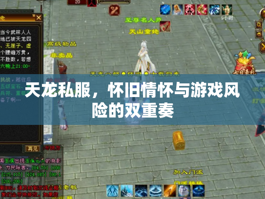 天龙私服，怀旧情怀与游戏风险的双重奏