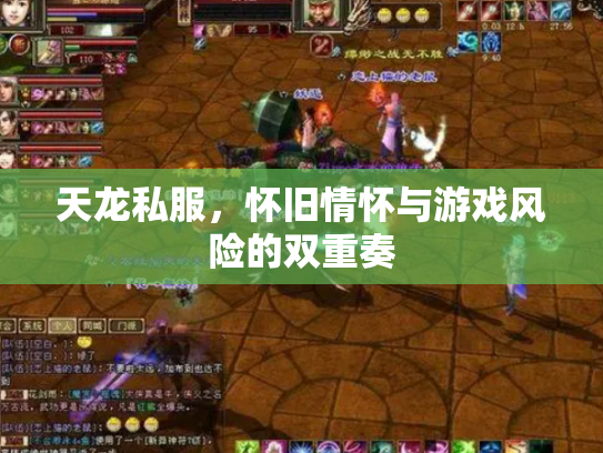 天龙私服，怀旧情怀与游戏风险的双重奏