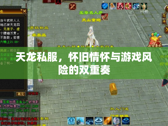 天龙私服，怀旧情怀与游戏风险的双重奏
