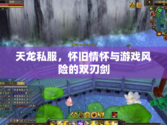天龙私服，怀旧情怀与游戏风险的双刃剑