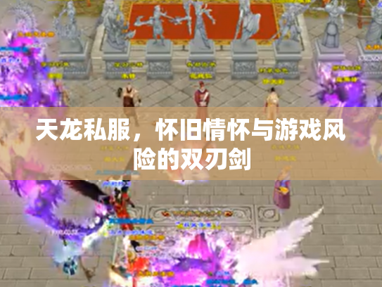 天龙私服，怀旧情怀与游戏风险的双刃剑