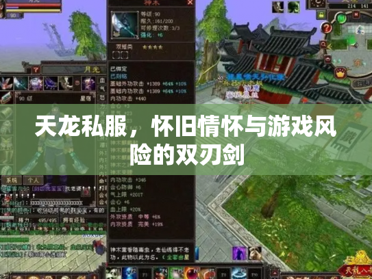 天龙私服，怀旧情怀与游戏风险的双刃剑