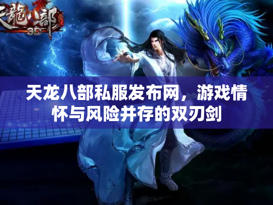 天龙八部私服发布网，游戏情怀与风险并存的双刃剑