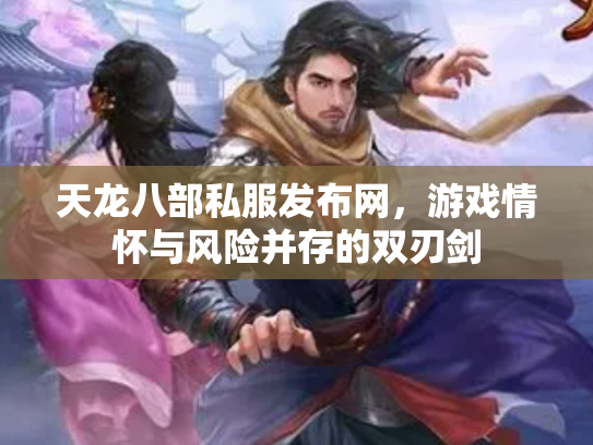 天龙八部私服发布网，游戏情怀与风险并存的双刃剑