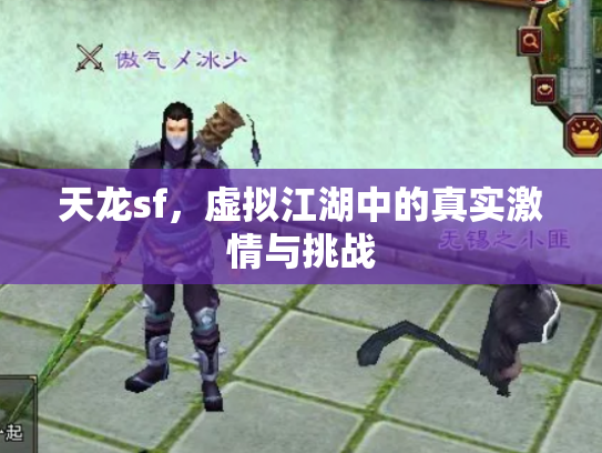 天龙sf，虚拟江湖中的真实激情与挑战